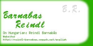 barnabas reindl business card